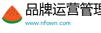 品牌运营管理与营销咨询